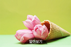 이미지샘플