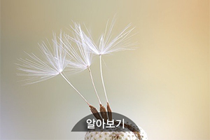 이미지샘플