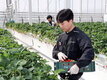 전남도, 청년 농업인 874명 정착 돕는다