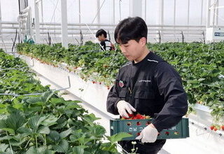 전남도, 청년 농업인 874명 정착 돕는다