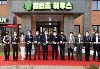 제천시, 엽연초 게스트하우스·카페 개관